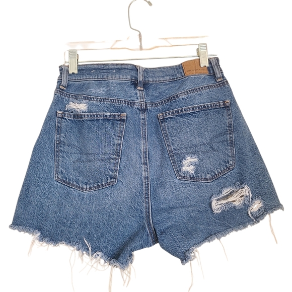 american eagle highest rise mom shorts size 2 - Picture 2 of 6